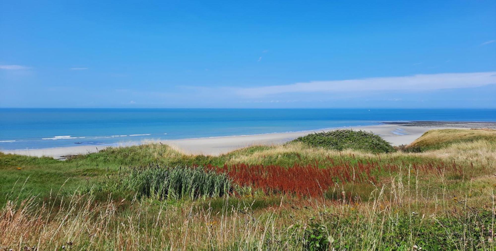 Le 246 - Duplex Face A La Mer Pour 4 Personnes, Wifi, Tv Full Sat, Parking Wimereux Luaran gambar
